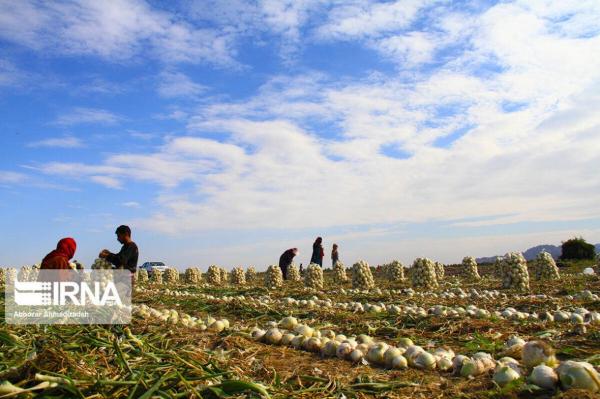 خبرنگاران 52 هزار خانوار در دولت روحانی زیرپوشش بیمه روستایی خبرنگاران 52 هزار خانوار در دولت روحانی زیرپوشش بیمه روستایی قرار گرفتند