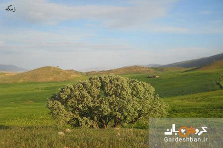 روستای چم بور چرداول؛ طبیعت بی نظیر ایلام