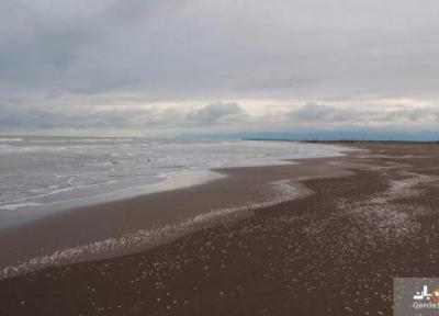 ساحل چمخاله و جاذبه های گردشگری ویژه آن ، عکس