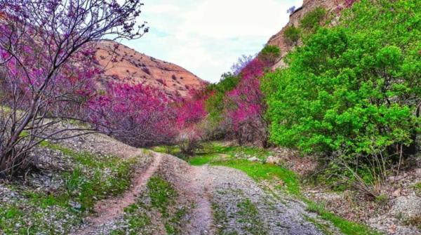 دره ارغوان مشهد، روستایی بکر و زیبا در طرقبه