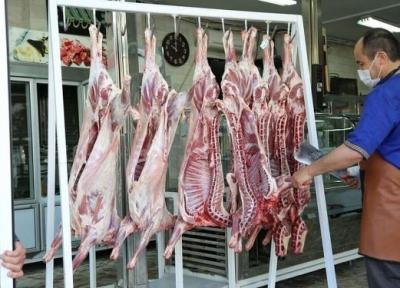 گوشت مقرون به صرفه می گردد؟ ، دولت باید مجوز صادرات را بدهد وگرنه ...، قیمت نو گوشت در بازار را ببینید