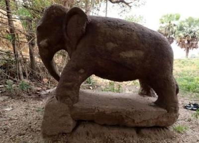 کشف مجسمه یک فیل در هند مربوط به زمان حمله اسکندر و سقوط هخامنشیان