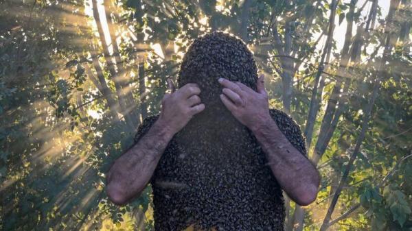 تصاویر مردی با هزاران زنبور عسل روی بدنش! ، عجیب ترین روش فروش عسل را ببینید